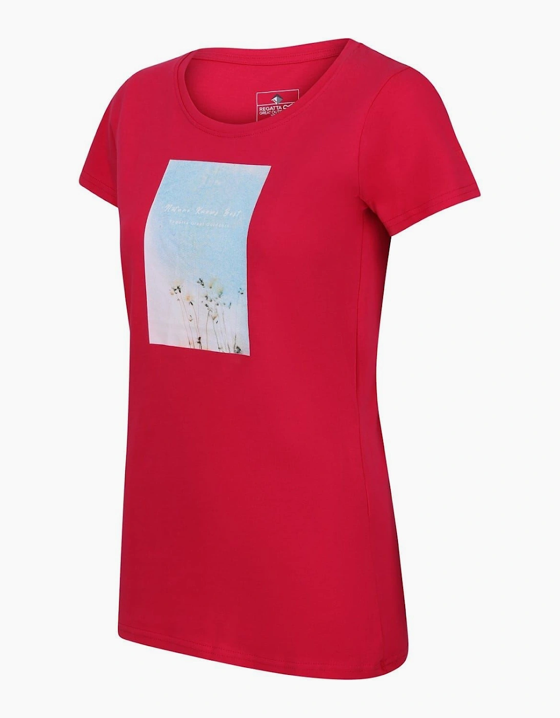 Regular Fit Scoop Neck T-Shirt