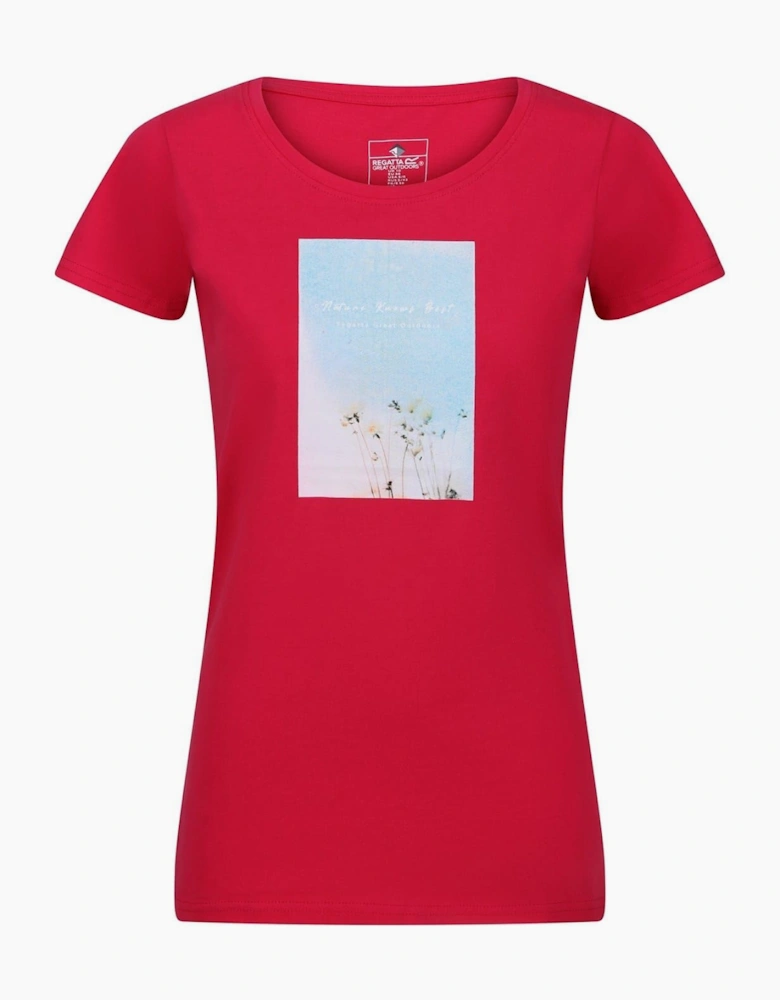 Regular Fit Scoop Neck T-Shirt