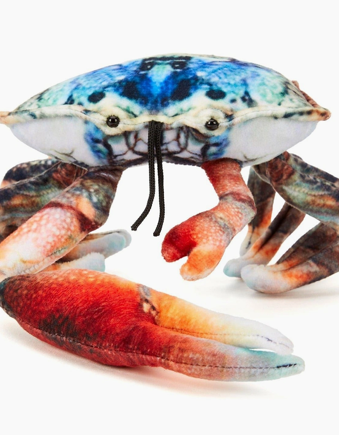 Fiddler Crab Soft Toy 20cm, 4 of 3