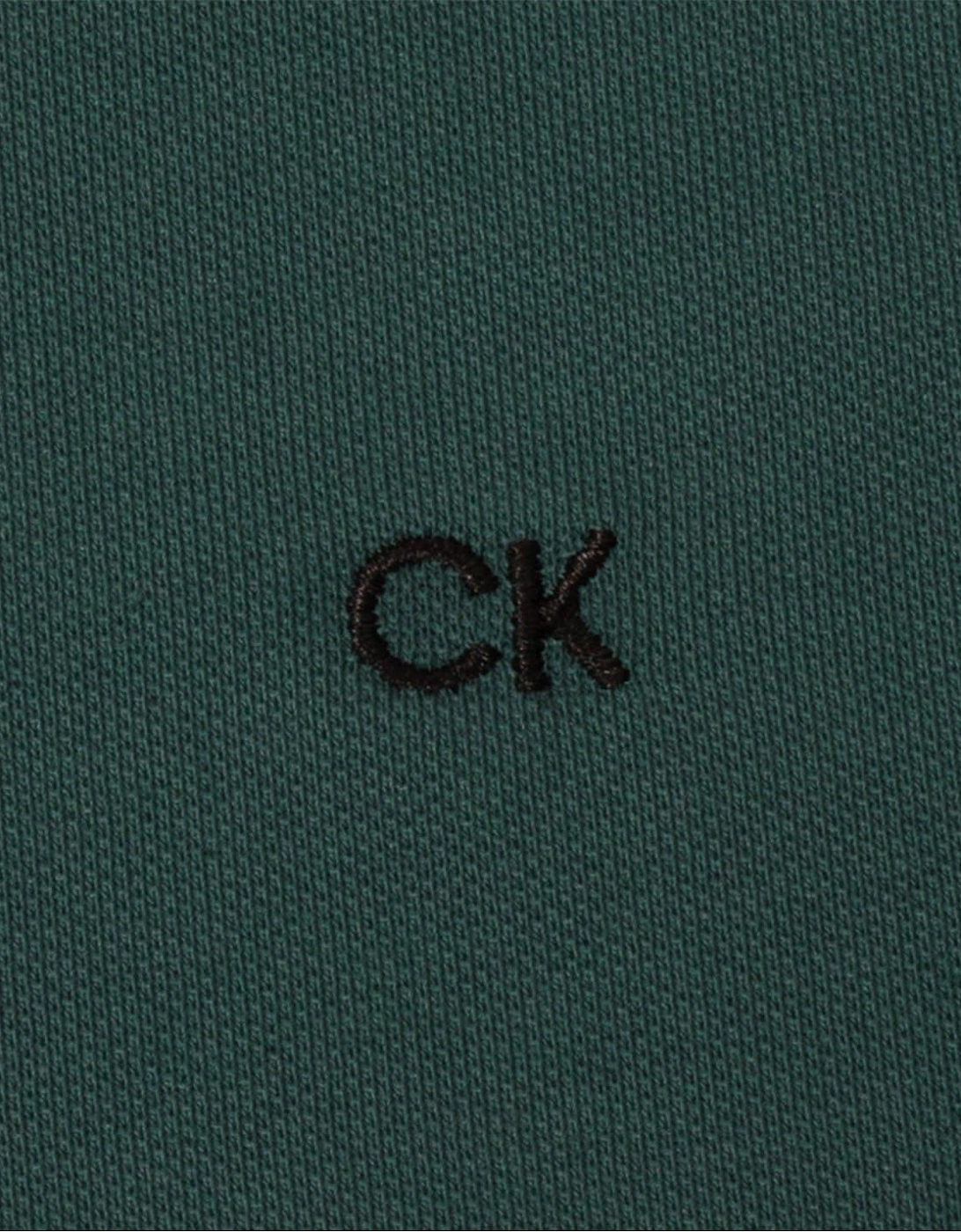 Embroidered Lacoste Lettering Collared Polo Shirt