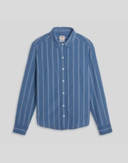 Shahi Stripe