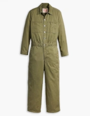 Olive Night