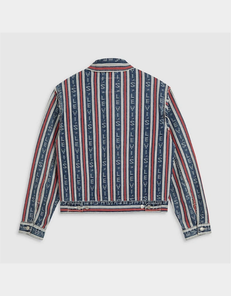 Vertical Stripe Patterned Denim Jacket