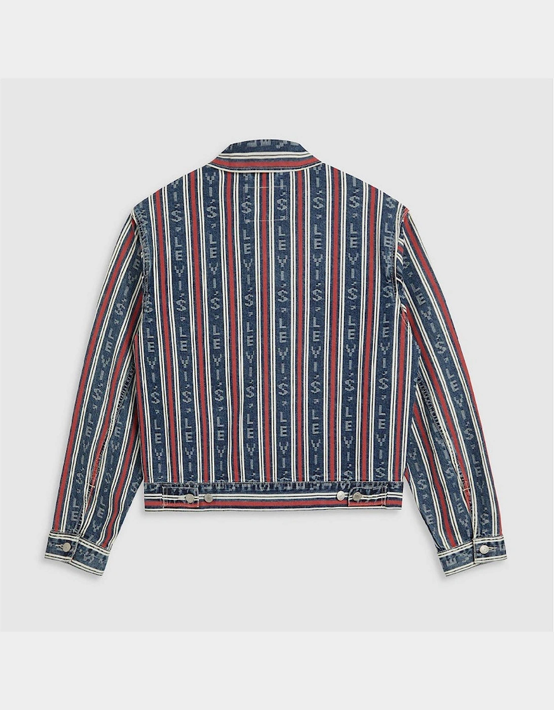 Vertical Stripe Patterned Denim Jacket