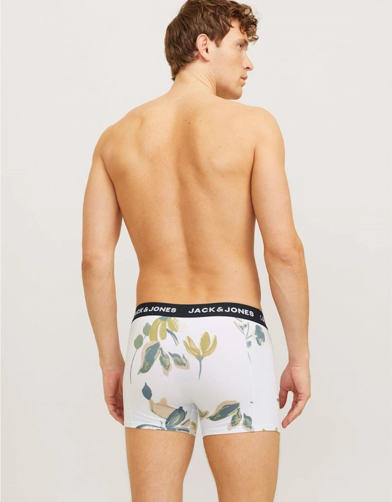 Abstract Trunks