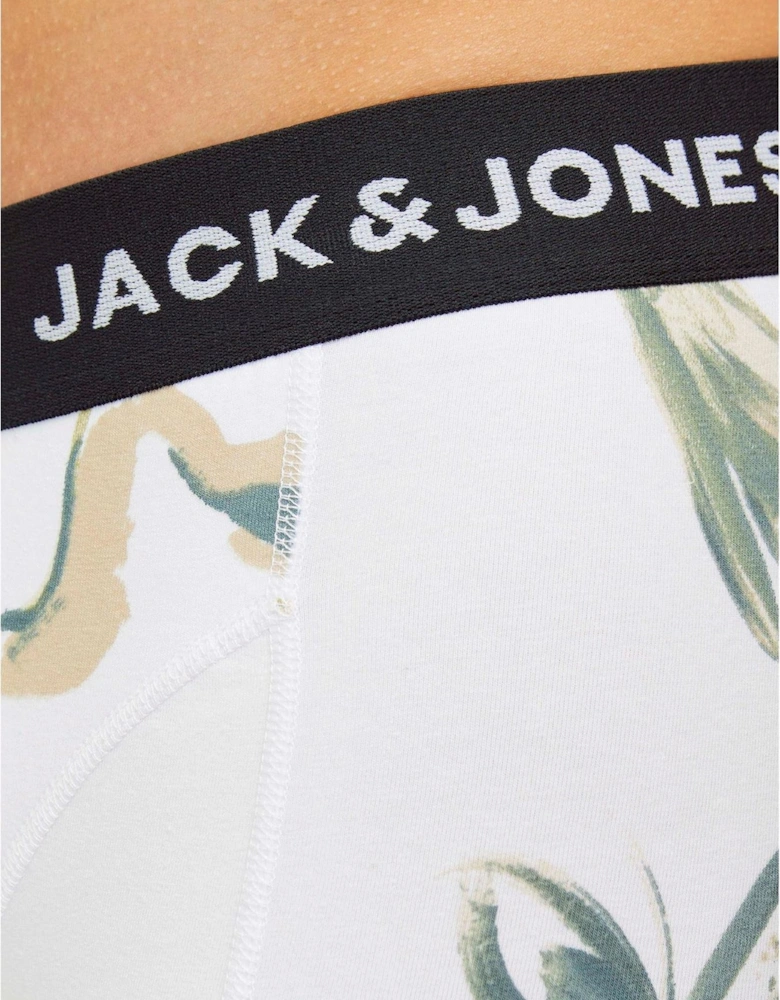 Abstract Trunks