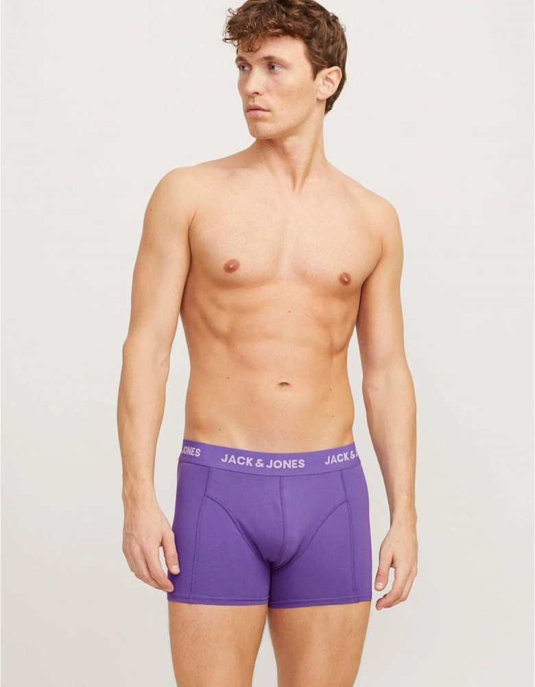 Solid Trunks 3