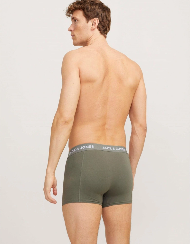 Solid Trunks 3