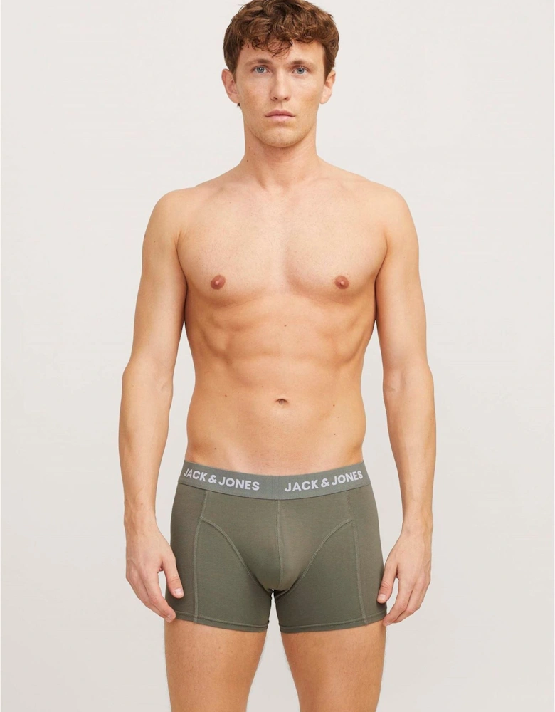 Solid Trunks 3