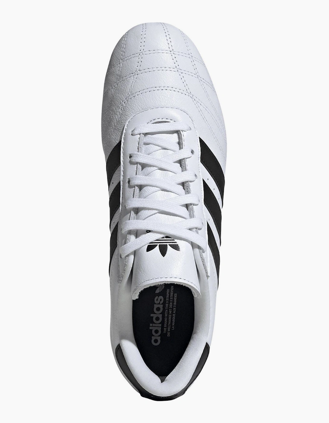 Taekwo Low Top Sneakers