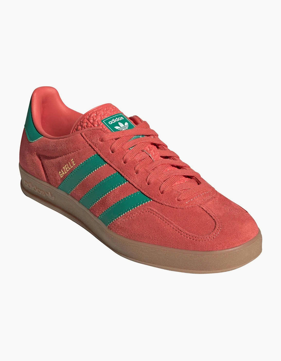 Gazelle Indoor