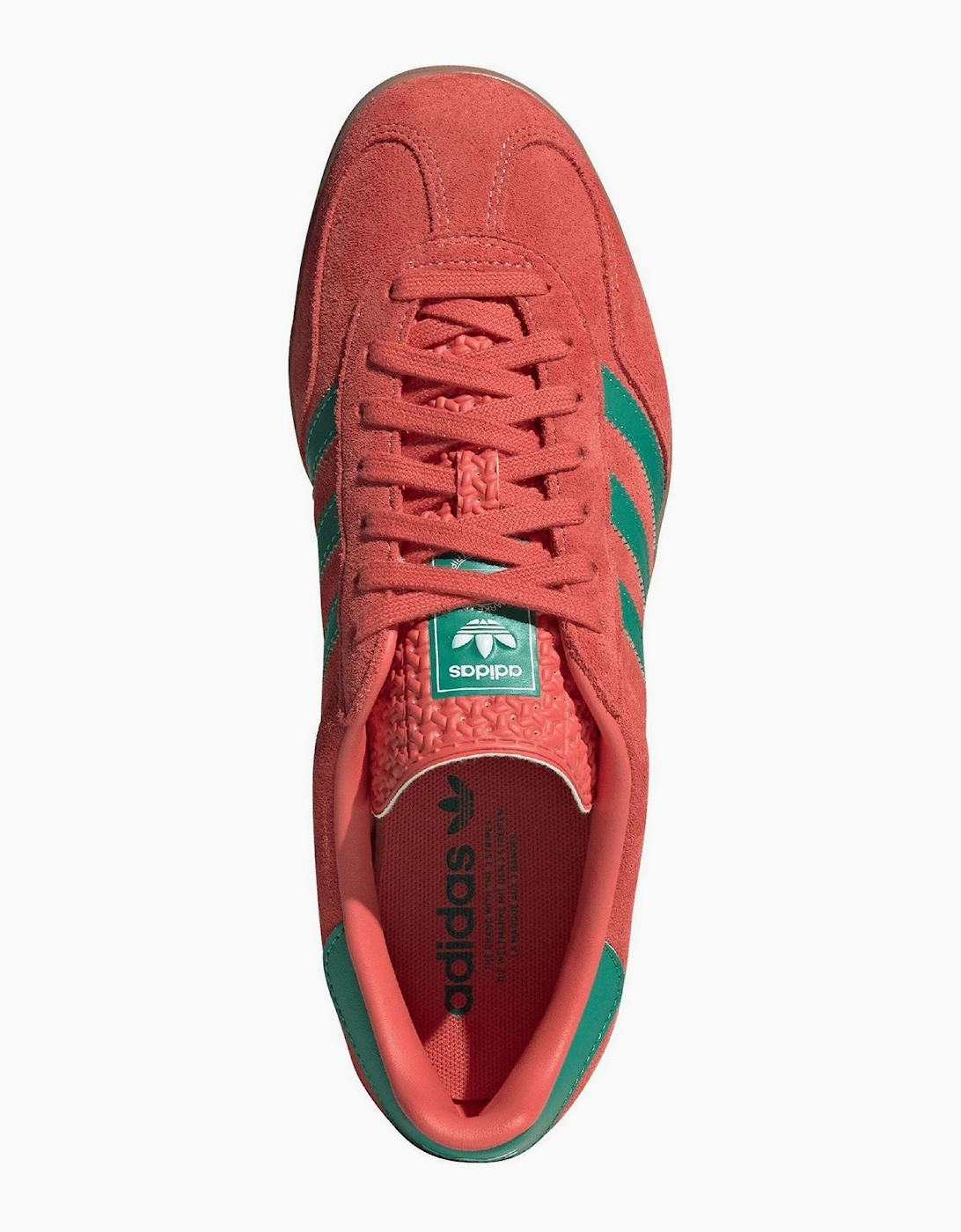 Gazelle Indoor