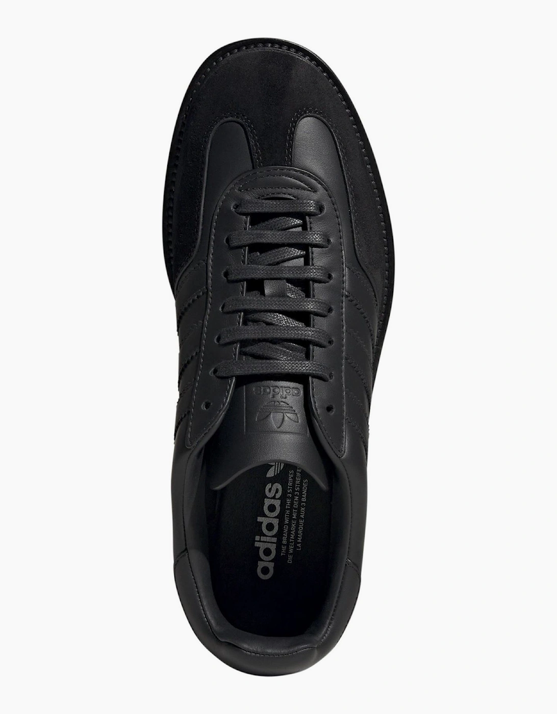 Gazelle Indoo
