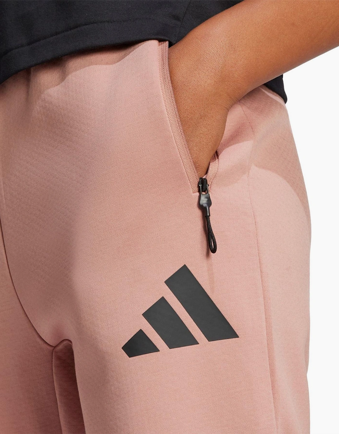 W Z.N.E. Pant