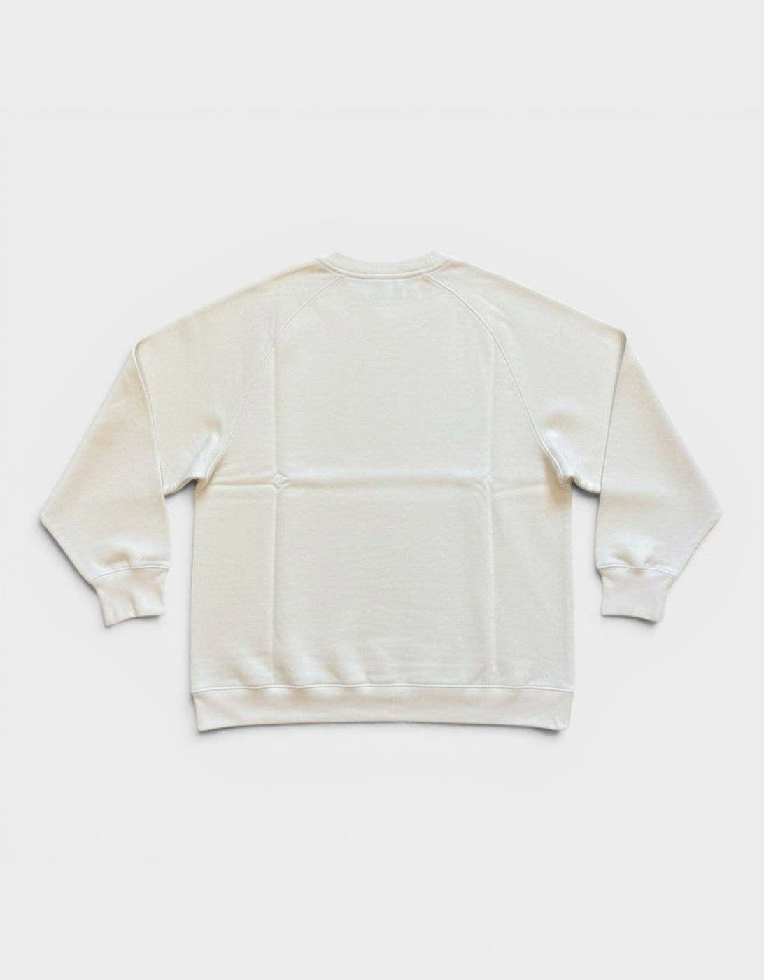 V Neck Logo Sweatshirt Cloud White
