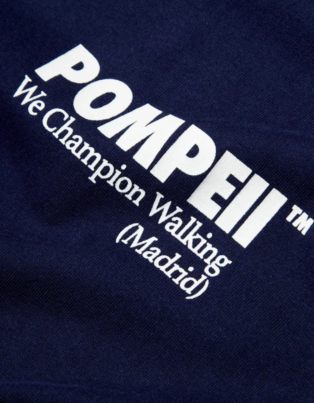 Pompeii Boxy Graphic Navy T-Shirt