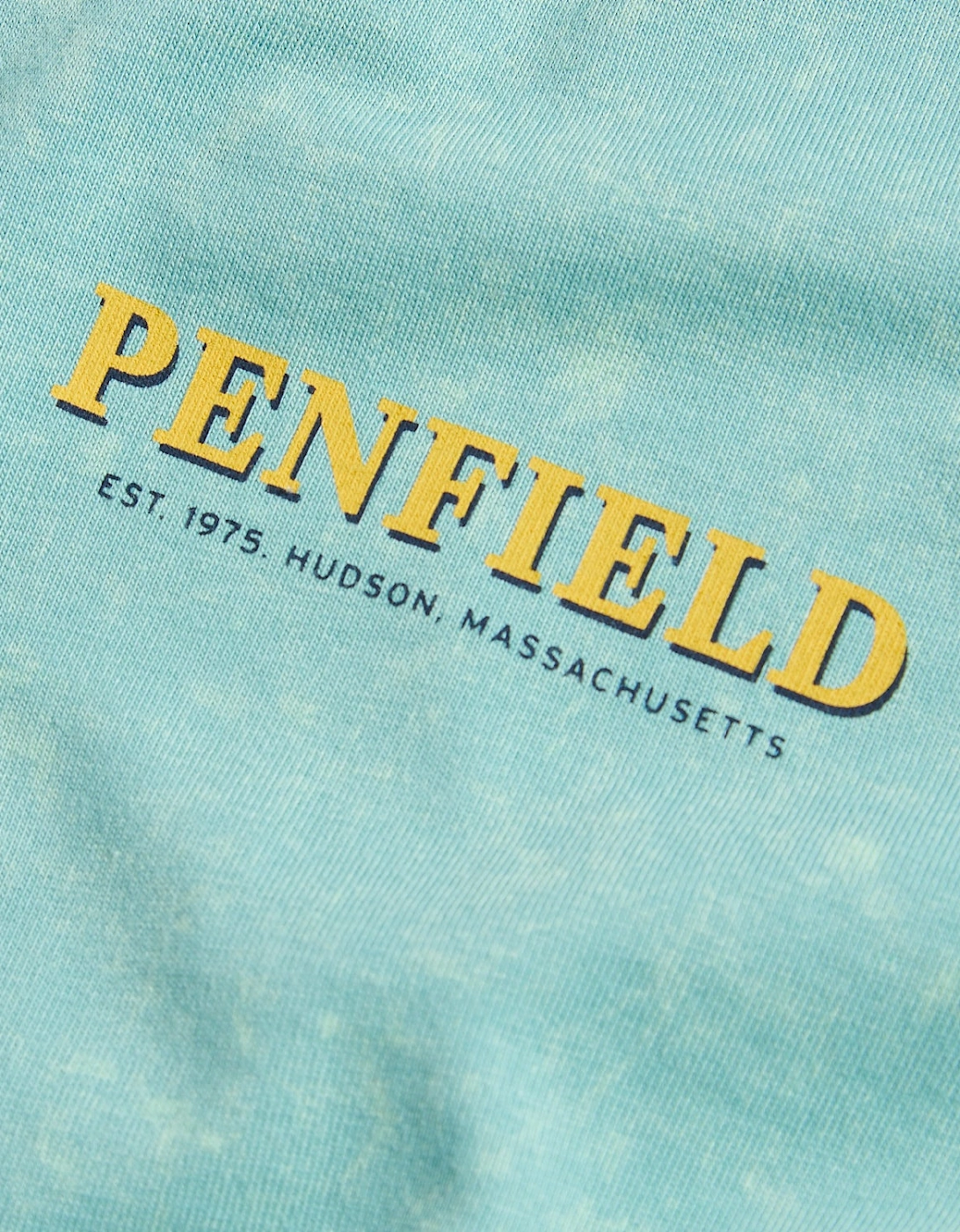 Penfield Whale Scene Dusty Turquoise T-Shirt