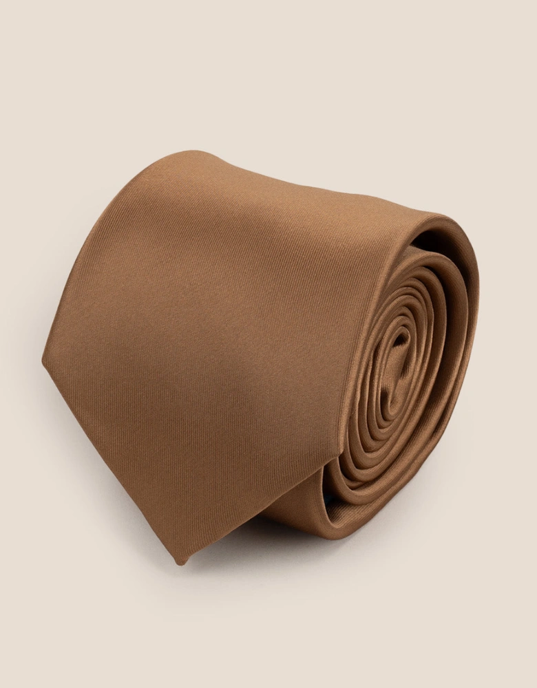 Sleek Champagne Tie