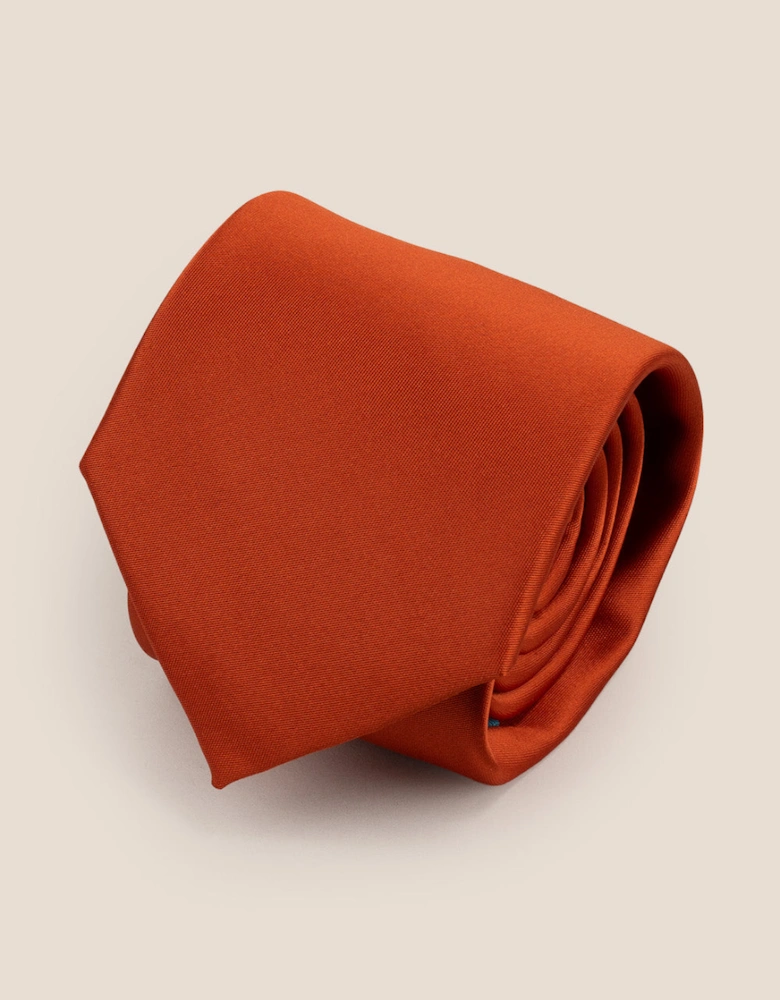 Sleek Orange Tie