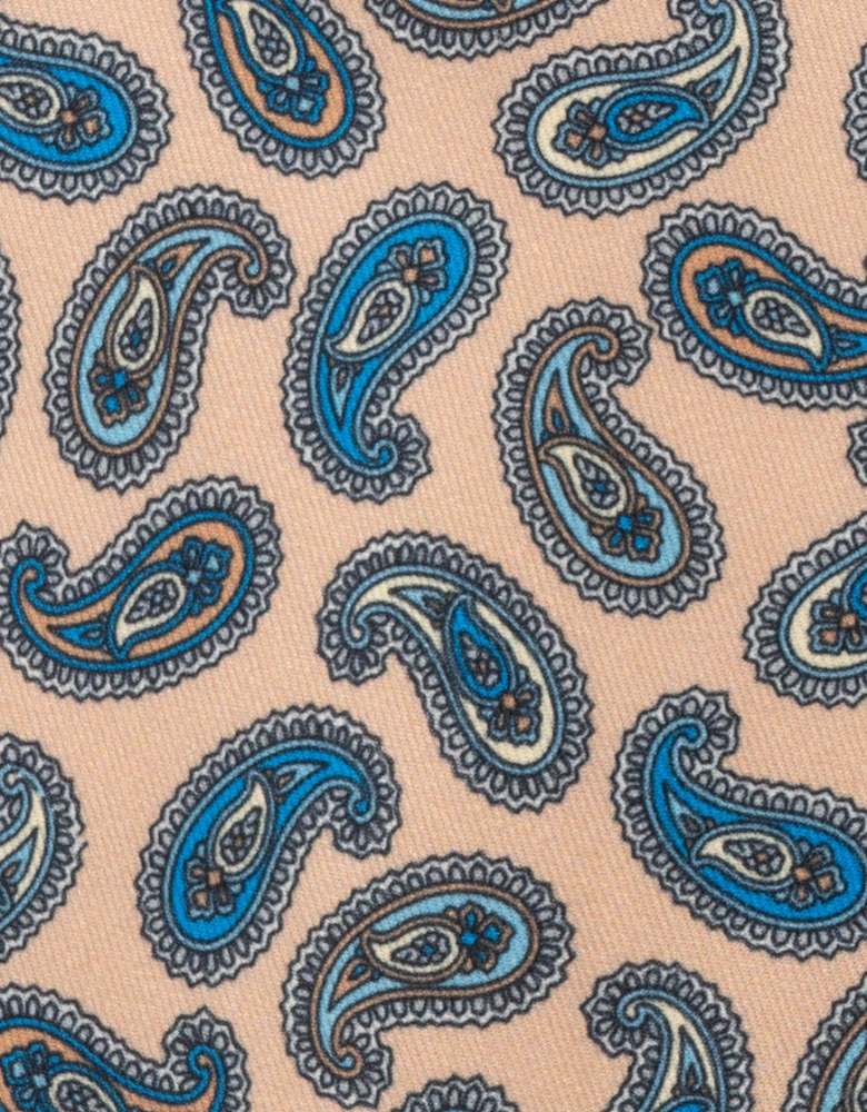 Paisley Champagne Tie
