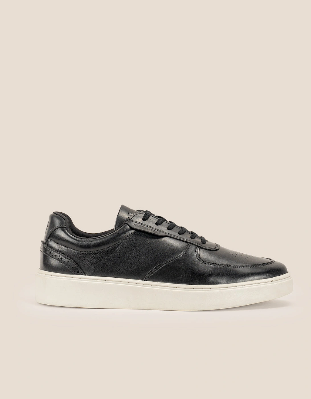 Scout Black, 8 of 7