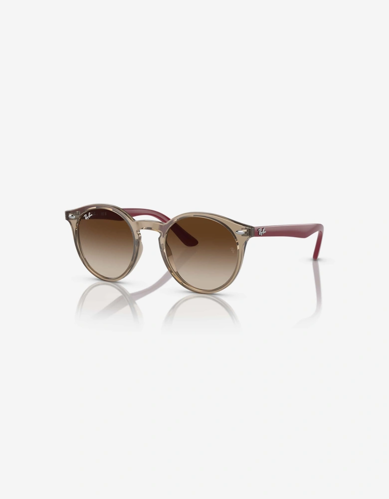 Ray-Ban Kids RB9064S Sunglasses in Brown