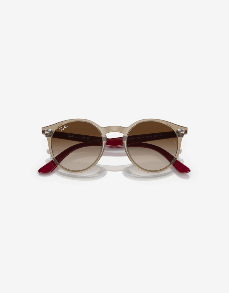 Ray-Ban Kids RB9064S Sunglasses in Brown