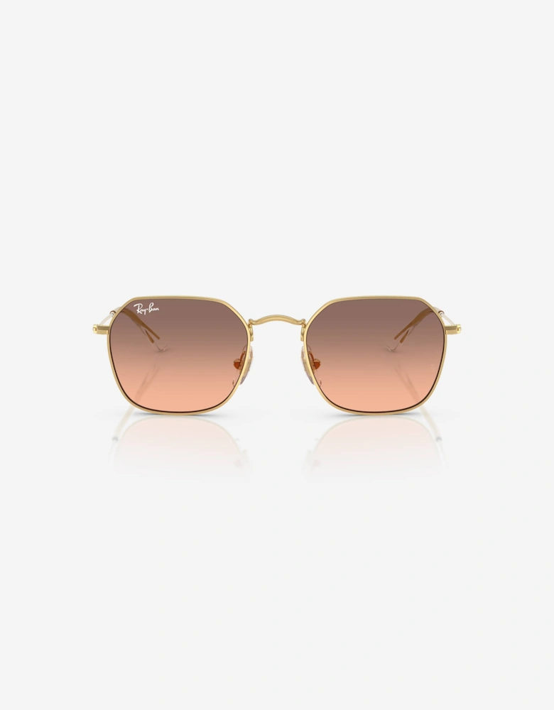 Ray-Ban Kids Jack Sunglasses in Gold