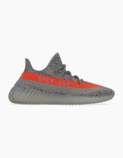 Beluga Reflect