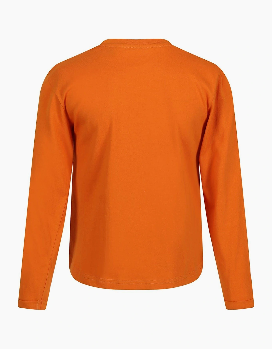 Lettering Graphic Crew Neck Long Sleeve Jersey T-Shirt