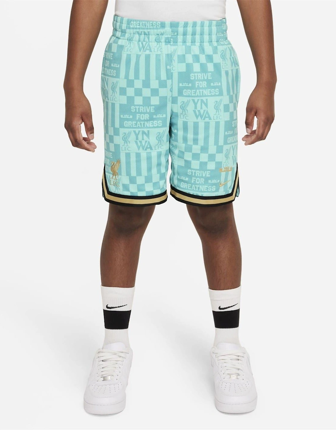 Lfc Lebron Basketball Shorts