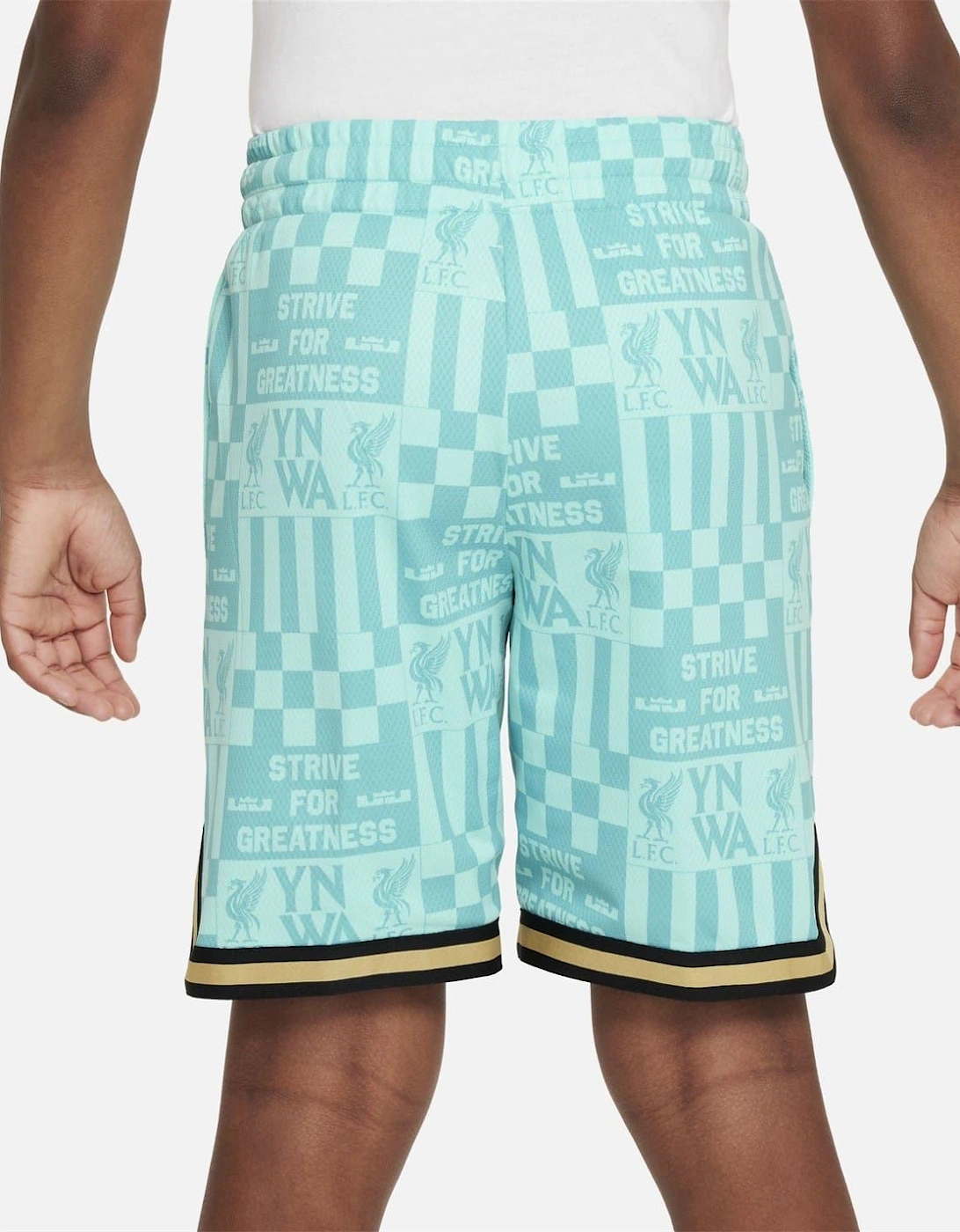 Lfc Lebron Basketball Shorts