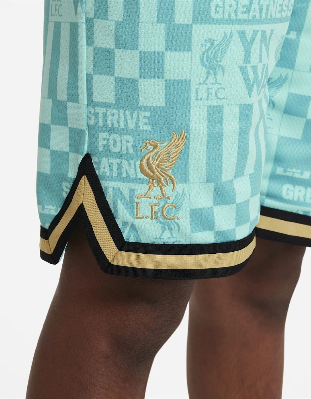 Lfc Lebron Basketball Shorts