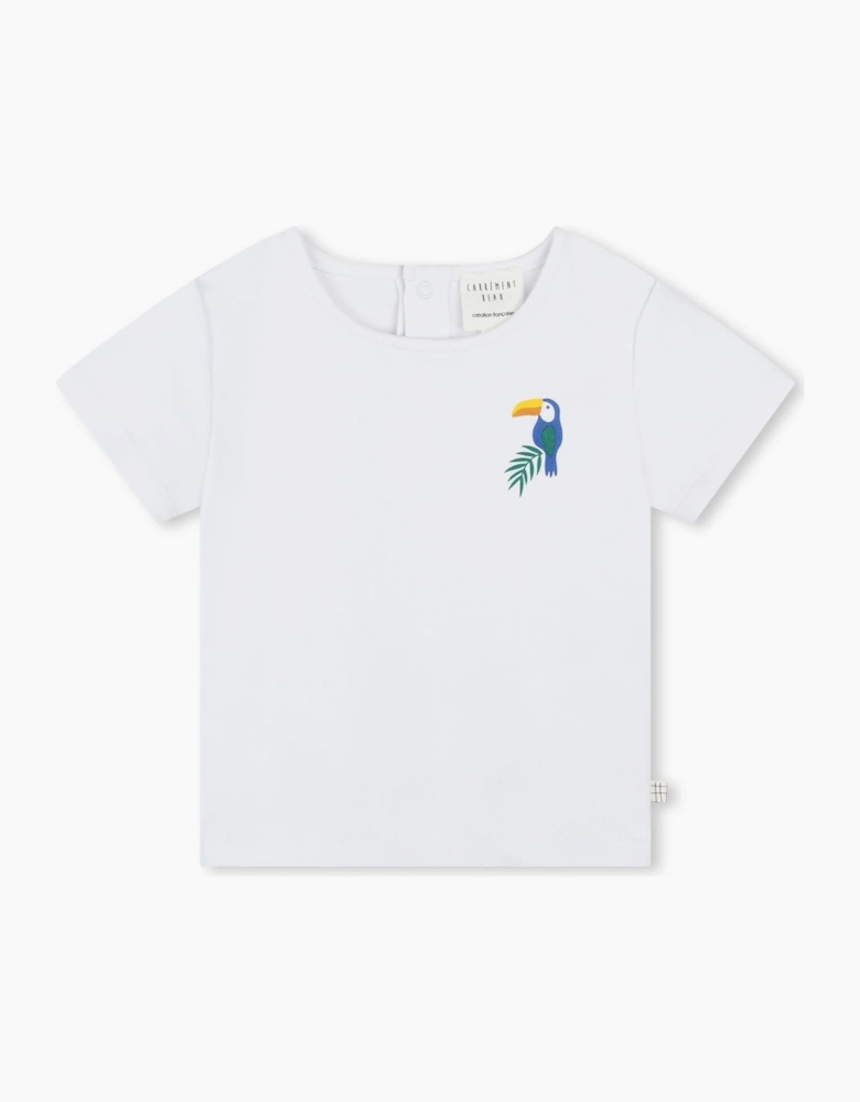 Crew Neck Short Sleeve T-Shirt and Short Set