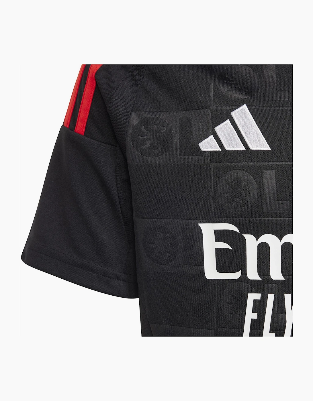 Embroidered Logo V-Neck Raglan Short Sleeve Jersey