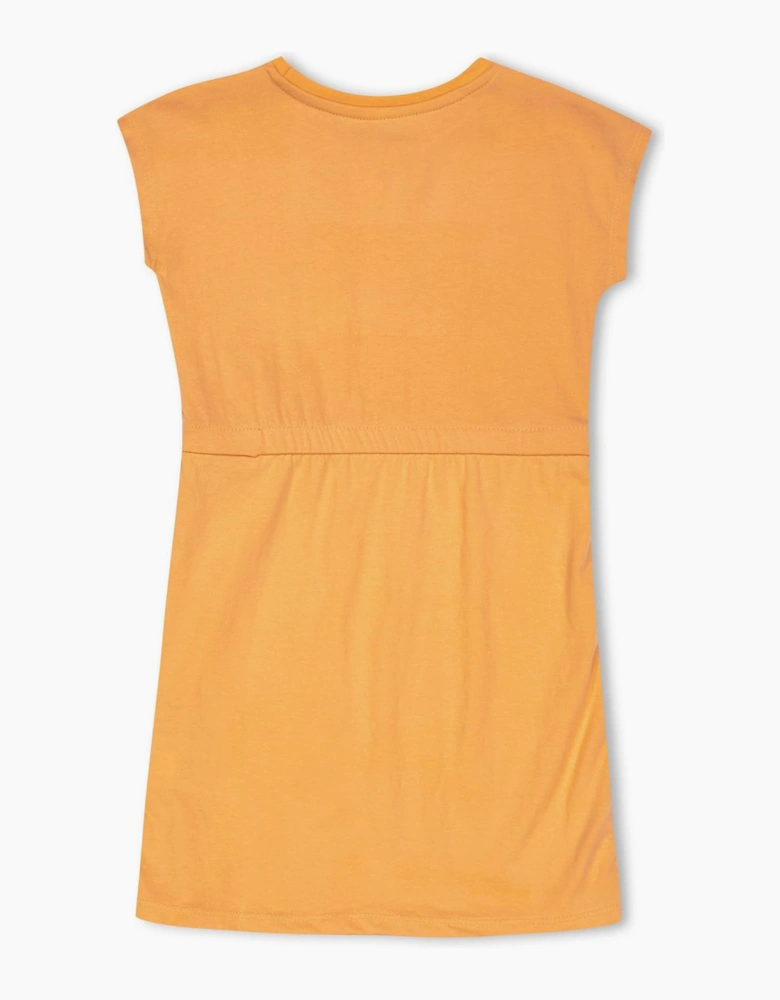 Dolman Crew Neck Short Sleeve Knee Length Dress