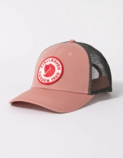 Dusty Rose 300