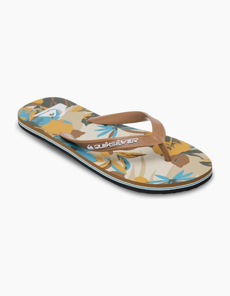 Quiksilver Mens Molokai Art Flip Flops
