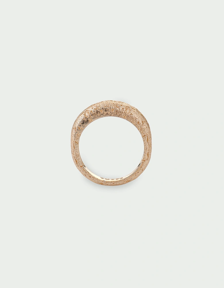 Journey Ring