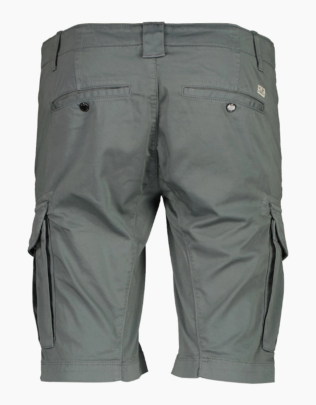 Satin Stretch Lens Cargo Shorts
