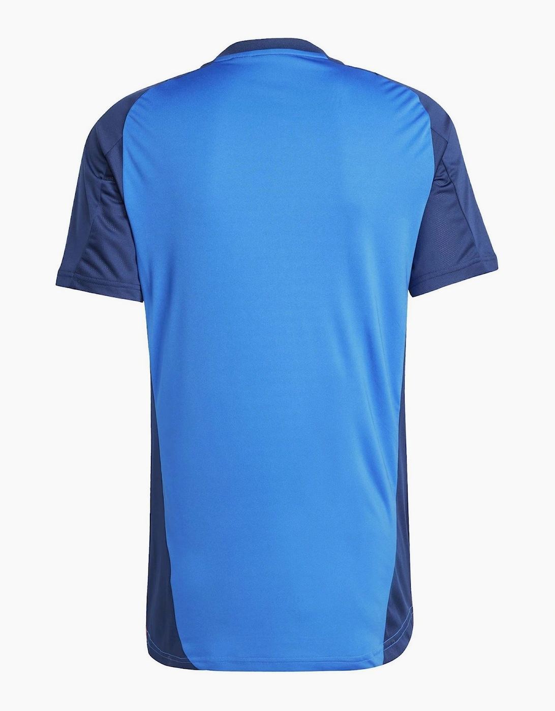 Juventus Training Shirt 2024 2025 Adults