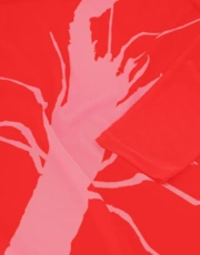 Thumbnail 2 of 5