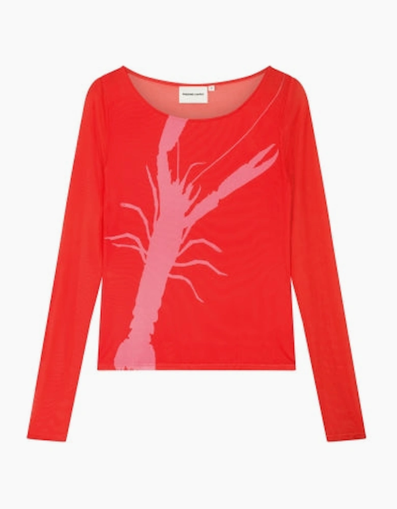 Siona top