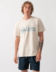 Chalk White 113