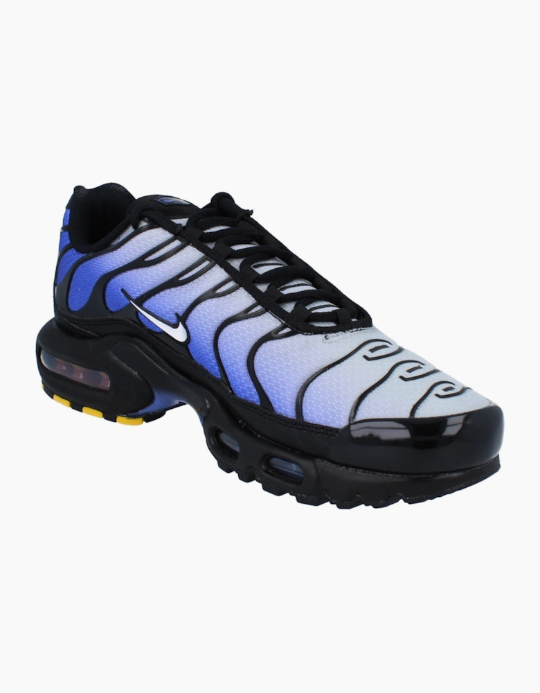 Nike Air Max Plus Mens Running Trainers DM0032 031