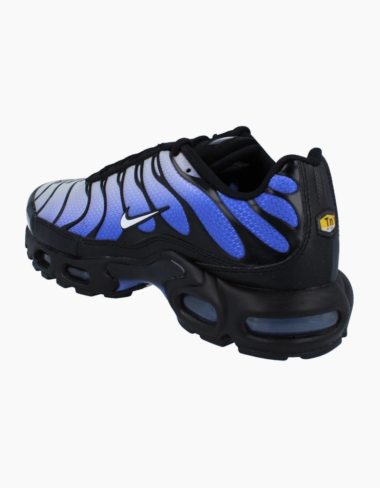 Nike Air Max Plus Mens Running Trainers DM0032 031