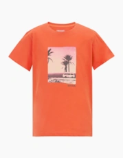 Rusty Orange