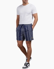 Navy And White Stripe