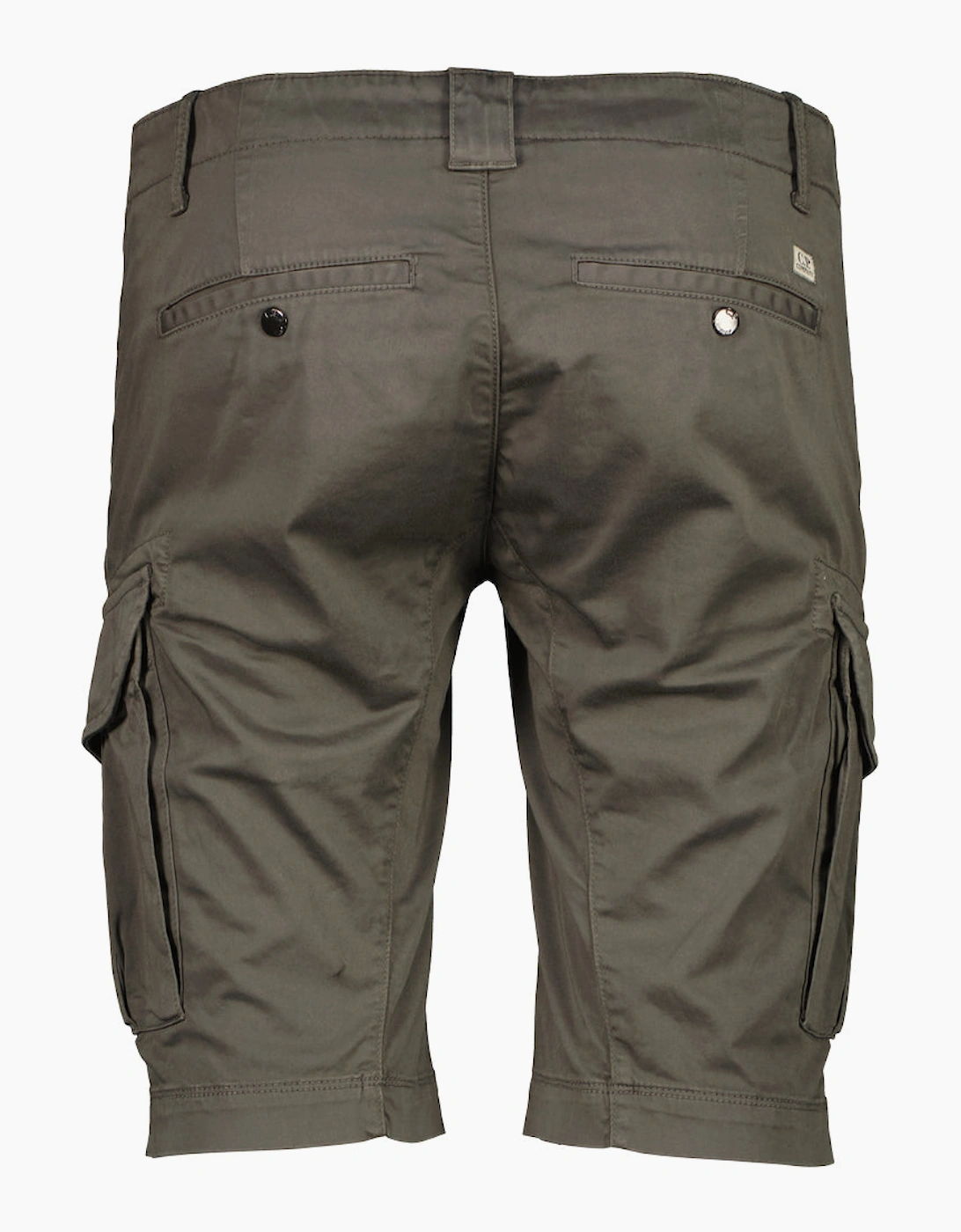 Satin Stretch Lens Cargo Shorts