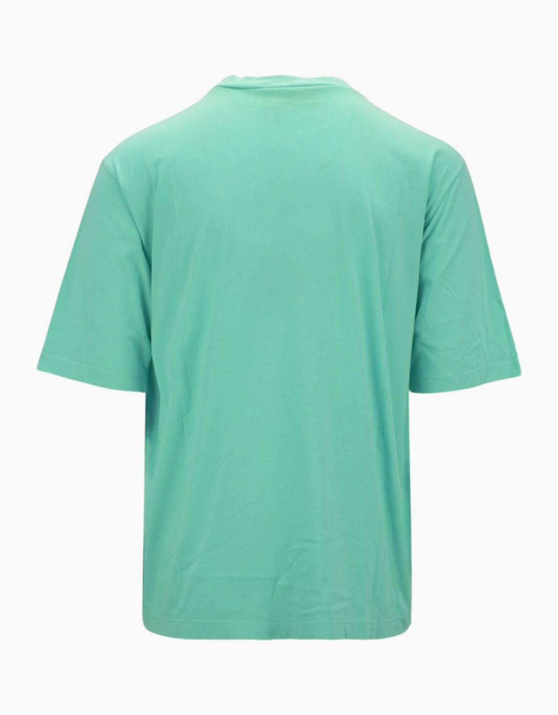 Dsquared2 Loose Fit Brand Logo Light Green T-Shirt